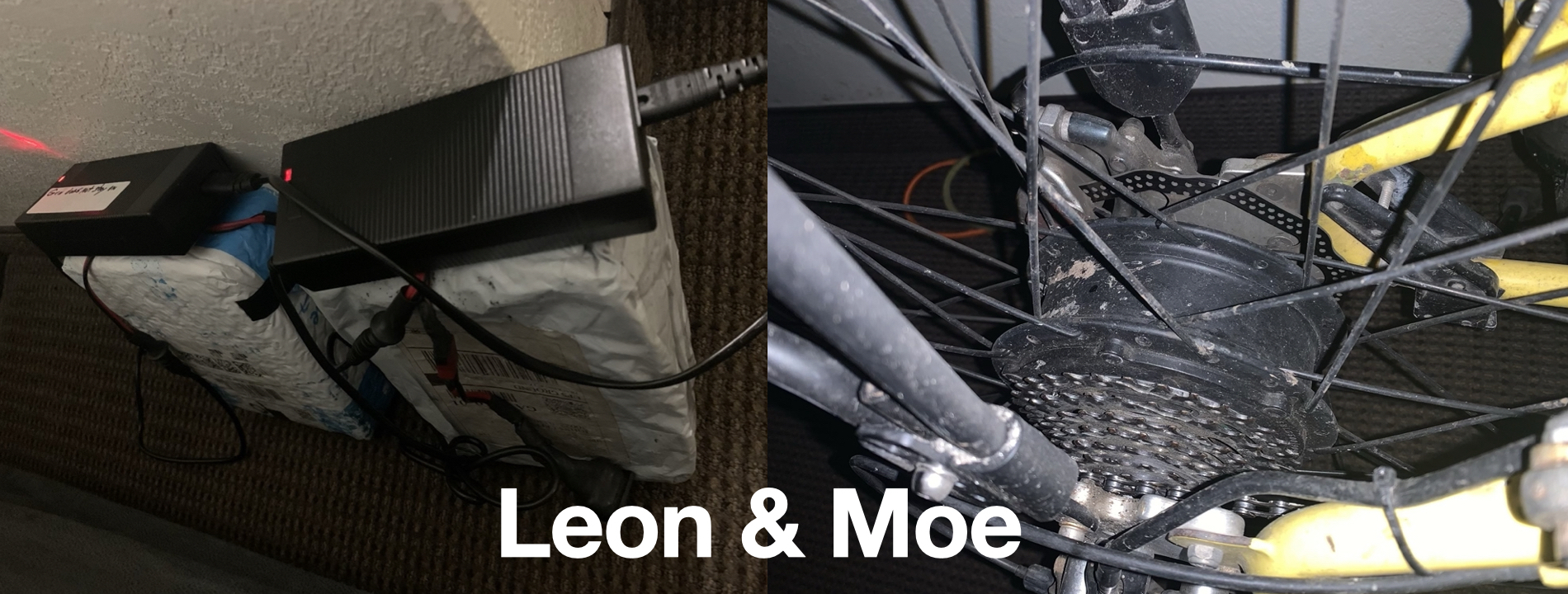 Leon & Moe
